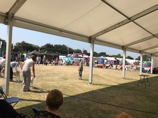 championship dog show ring