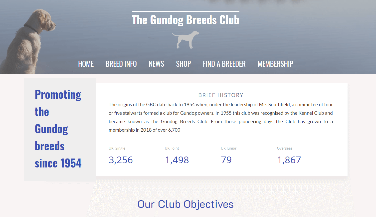 screen shot of new dog breed club website